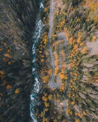 High angle view of rock formation amidst trees