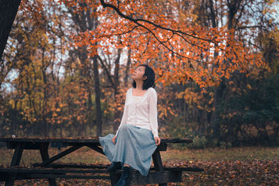 Young woman looking away while sitting by trees during autumn