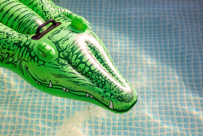 Crocodile shape inflatable raft floating on swimming pool
