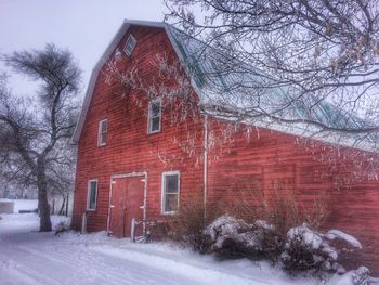 Bare trees on snow covered landscape
