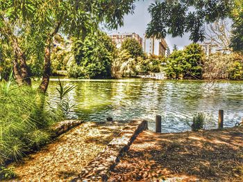 Scenic view of lake in forest