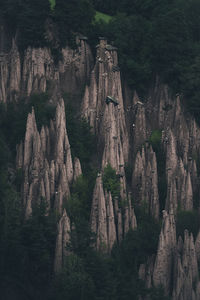 View of rock formation in forest