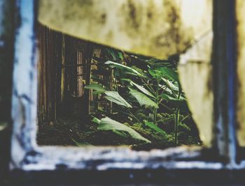 Close-up of damaged window