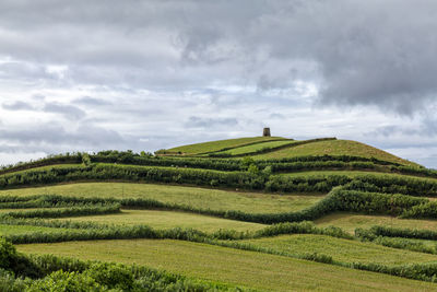 Scenic view of agricultural field against sky