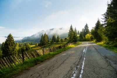 Road amidst trees against sky