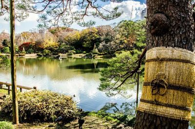 Scenic view of lake by trees against sky