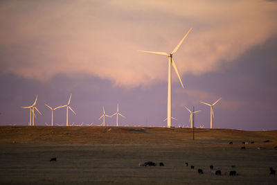 Wind turbines in field against blue cloudy sky at dusk