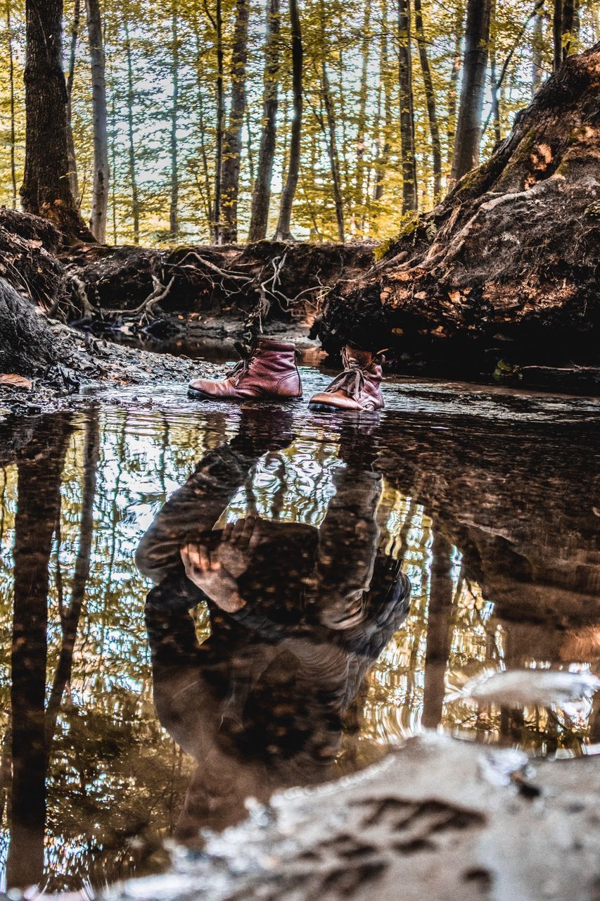 REFLECTION OF TREES IN WATER