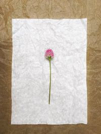 Directly above shot of flower on silver paper over table