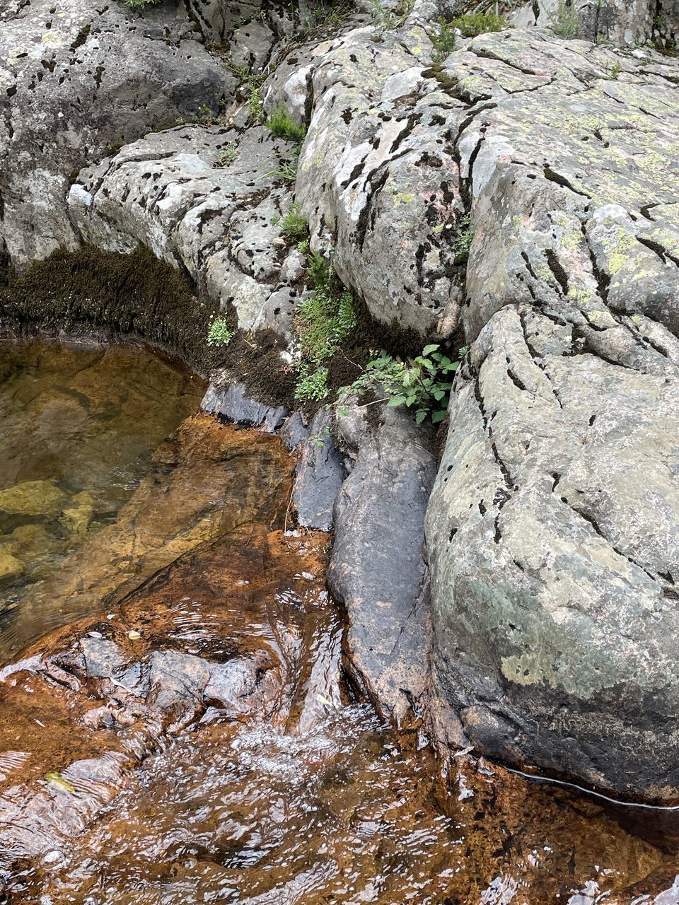 rock, nature, geology, no people, day, tree, textured, high angle view, outdoors, plant, rough, land, rock formation, beauty in nature, close-up, full frame, tranquility, bedrock, backgrounds, water, formation, boulder