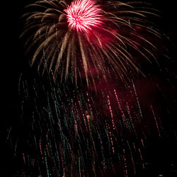 Low angle view of fireworks against sky at night