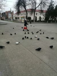 Rear view of boy playing in city