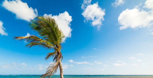 Scenic view of sea against blue sky