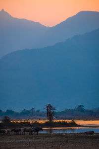 Scenic view of landscape against sky during sunset