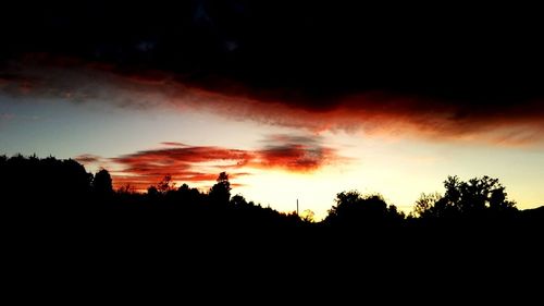 Silhouette trees against sky at sunset