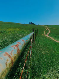 Scenic view of agricultural field against clear sky