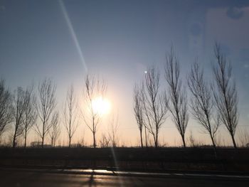 Silhouette trees against sky during sunset