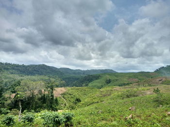 Scenic view of field against sky