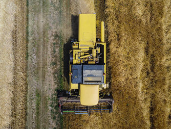 Harvesting scene in the italian countryside