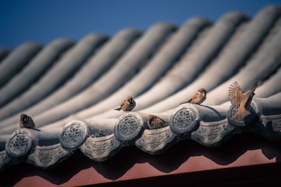Close-up of roof tiles against sky