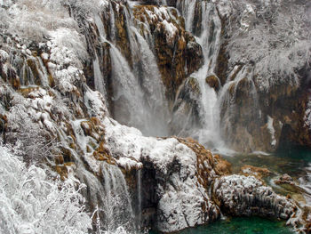 Scenic view of waterfall in forest