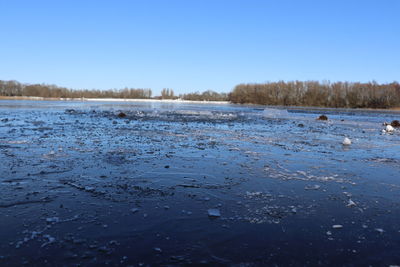 View of birds in lake against clear blue sky