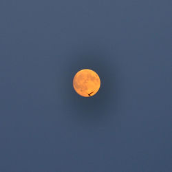 Low angle view of moon in sky