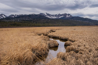 Scenic view of field and mountains against sky