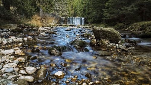 Stream flowing through rocks in forest