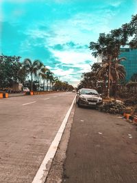 Road by trees against sky in city