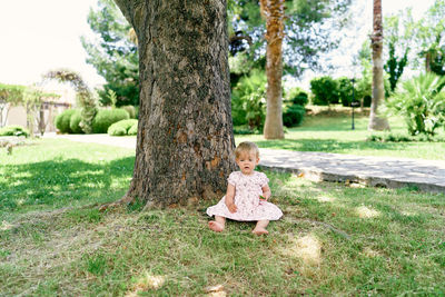 Portrait of boy sitting on tree trunk