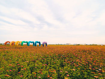 Scenic view of flowering plants on field against sky