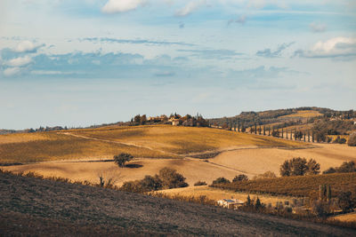 Scenic view of agricultural field against sky