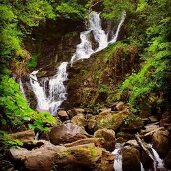 River flowing through rocks