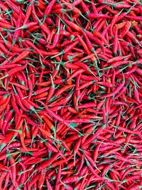 Full frame shot of red chili peppers for sale
