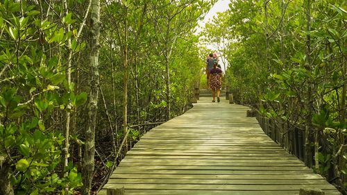 Rear view of man walking on footbridge in forest