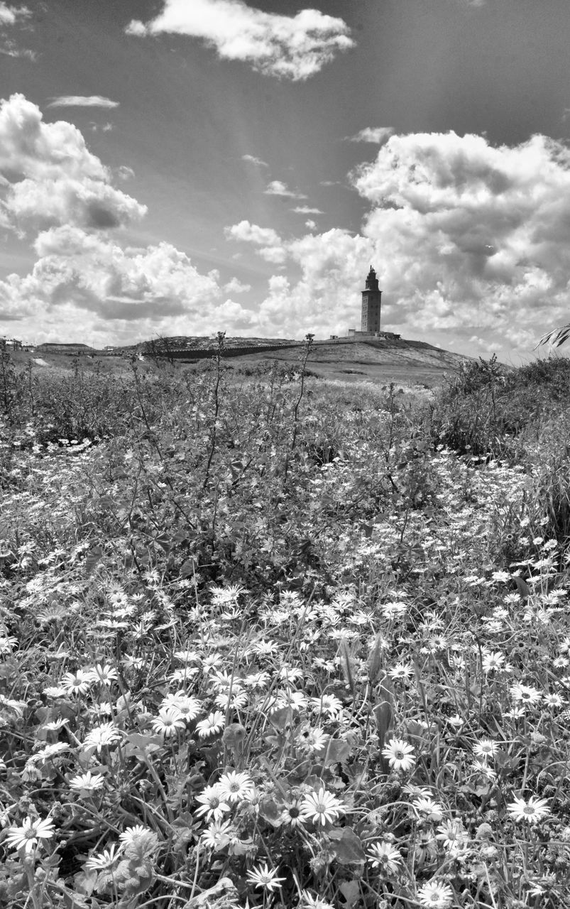 VIEW OF LANDSCAPE AGAINST SKY