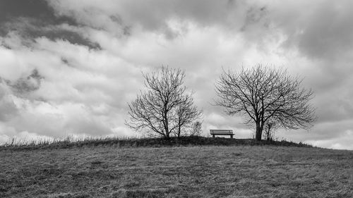 Tree in field against cloudy sky