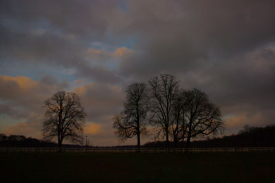 Silhouette trees on field against sky at sunset