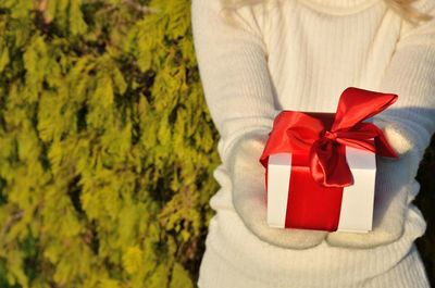 Christmas present with red silky ribbon in woman's hands, in gloves, with green pine in background