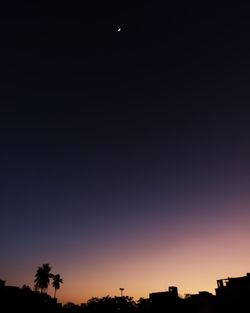 Low angle view of silhouette trees against sky at night