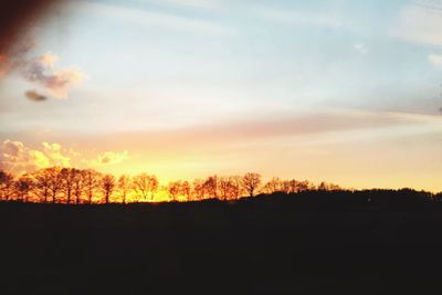 Silhouette trees against sky during sunset