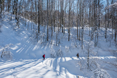 People skiing on snow covered field