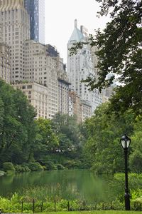 Trees and cityscape against sky