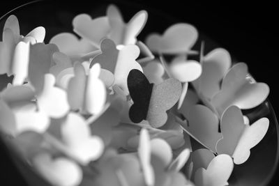 Close-up of heart shape over white background