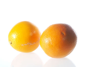 Close-up of fruit over white background