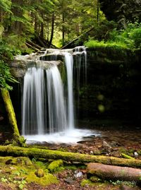 Waterfall in forest