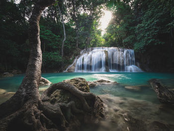 Scenic view of waterfall in forest