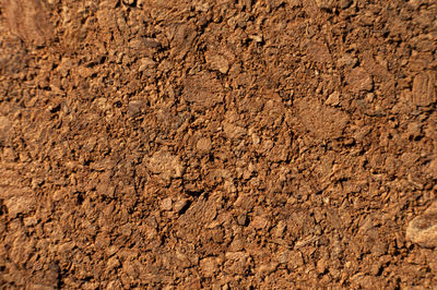 soil