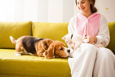 Dog sitting on sofa at home